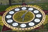 Ко Дню Киева на Майдане изменят дизайн цветочных часов