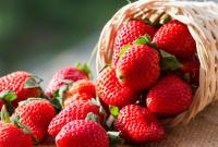 Исследователи назвали самую ядовитую ягоду в мире
