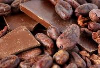 Прием шоколада в пищу благоприятно влияет на память – ученые