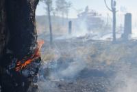 В Канаде вспыхнули лесные пожары