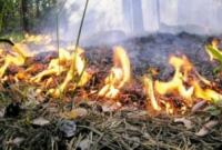 Количество пожаров на открытой территории в этом году увеличилось почти в три раза