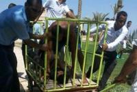 Нападение на туристов в Египте: стали известны подробности о личности преступникам
