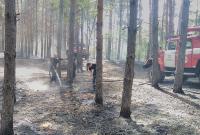 На Херсонщине горело 19,5 га леса