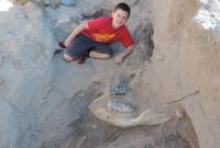 На юге США ребенок обнаружил череп животного возрастом более миллиона лет