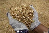 Новый год зерна: Украина экспортировала уже больше миллиона тонн