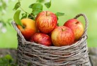В абрикосах и яблоках найдено лекарство от рака, - ученые