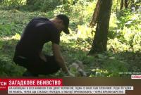 Под Киевом расстреляли лесничего и его товарища (видео)