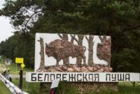 Польша не прекратит вырубки деревьев в Беловежской пуще