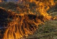 Через пожарной опасности в Украине объявлено штормовое предупреждение