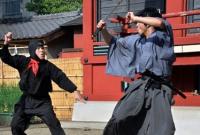 В Японии открывают первый в мире центр изучения ниндзя