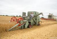Цены на пшеницу в Украине просели