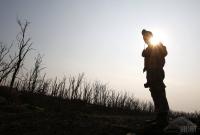 ВСУ близ Авдеевки уничтожили опорник боевиков "Туман" (видео)