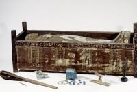 Ученым удалось расшифровать ДНК древнеегипетской мумии