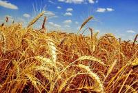 Украина экспортировала более 15,3 млн тонн зерновых