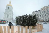 Открытие главной елки Украины в Киеве: стала известна программа