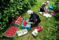 В следующем году Польша изменит условия трудоустройства иностранцев