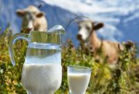 Украина увеличила объемы производства молока