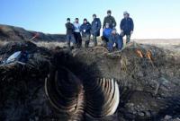 На Камчатке нашли огромный скелет вымершей морской коровы