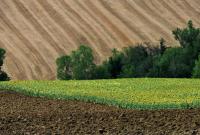 Земельная реформа: что ждет украинцев и стоит ли опасаться