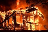 Число погибших в результате лесных пожаров в Калифорнии возросло до 15 человек