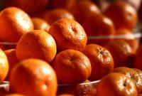 В октябре начинается новый мандариновый сезон: почем сейчас продают символ Нового года