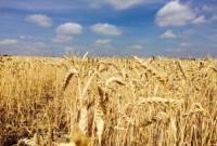 Аграрии намолотили уже почти 27 млн ​​тонн зерна
