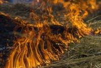 Высокая пожарная опасность будет преобладать в Киеве 5-го августа