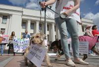 В Украине с сегодняшнего дня вводится уголовная ответственность за издевательство над животными