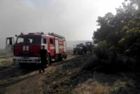 В Запорожье 30 спасателей около 5 часов тушат пожар в лесничестве