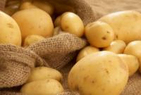 Мексика запретила импорт американского картофеля