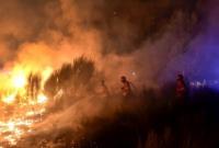 Из-за жары за сутки в Украине произошло 308 пожаров - ДСНС