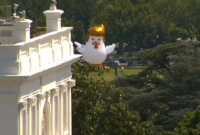 У Белого дома установили гигантского надувного цыпленка с прической Трампа (фото, видео)