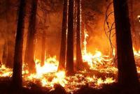 В Украине сохраняется угроза пожаров - ГСЧС
