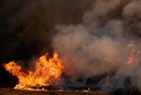 Масштабные лесные пожары в Европе: больше всего страдают Греция, Франция и Португалия