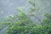 Штормовое предупреждение из-за сильных осадков в горных районах объявили на Закарпатье