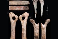 Ученые обнаружили новые доказательства каннибализма у древних людей