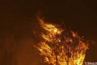 В субботу в Украине зафиксировано 555 пожаров на открытых территориях