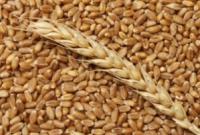 Украина экспортировала более 5 млн тонн зерна за 2017/2018 маркетинговый год
