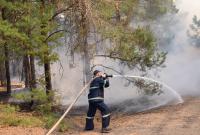 Масштабный лесной пожар на Николаевщине: полиция задержала двух подозреваемых в поджоге