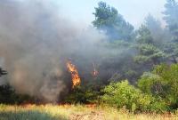 В Украине за неделю на пожарах погибли 12 человек, - ГСЧС