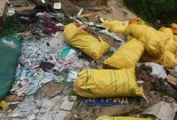 На Киевщине в лесу обнаружили незаконную свалку медицинских отходов