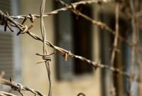 В Черниговском СИЗО заключенного забили до смерти