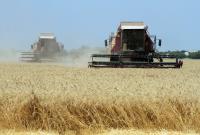 Украинские аграрии завершили уборку ранних зерновых, намолотив более 37 миллионов тонн