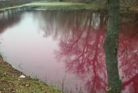 В Сумах появилось удивительное розовое озеро
