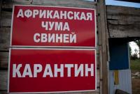 В двух областях Украины зафиксированы вспышки АЧС