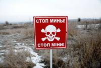 ООН: Украина на первом месте по количеству смертей от взрывов мин