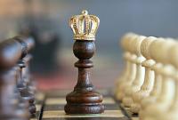 Искусственный интеллект от Google за 4 часа освоил шахматы на уровне чемпионов
