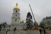 В Киеве установили главную елку страны (видео)