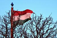 МИД Венгрии: Венецианская комиссия на стороне Будапешта, все остальное - интерпретации Киева