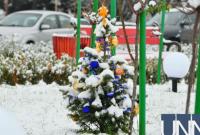 В Ужгороде украсили самую маленькую "официальную новогоднюю елку" в Украине